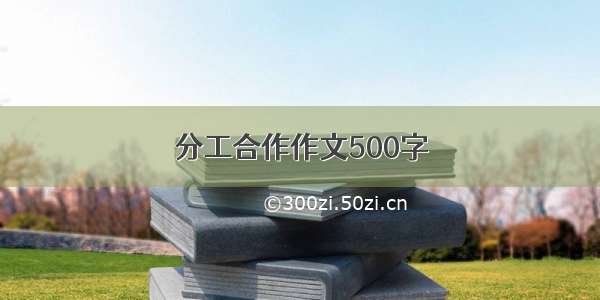 分工合作作文500字