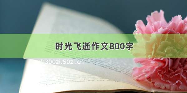 时光飞逝作文800字