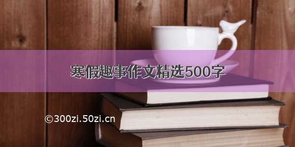 寒假趣事作文精选500字