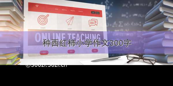 种西红柿小学作文300字