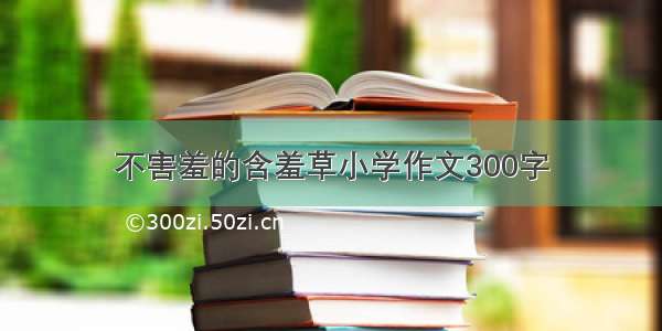 不害羞的含羞草小学作文300字