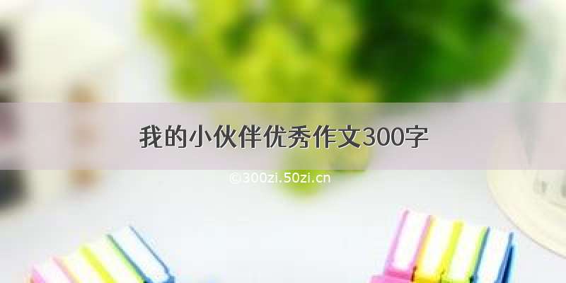 我的小伙伴优秀作文300字