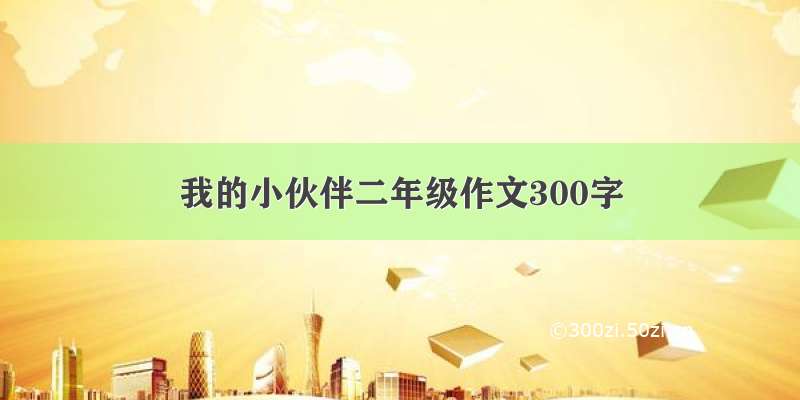 我的小伙伴二年级作文300字