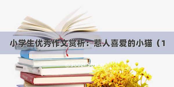 小学生优秀作文赏析：惹人喜爱的小猫（1