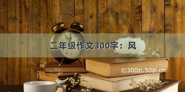 二年级作文300字：风