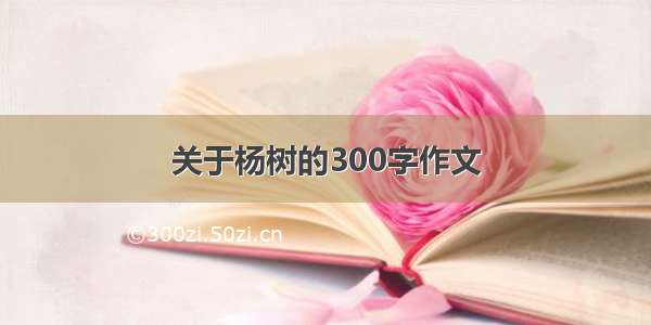 关于杨树的300字作文