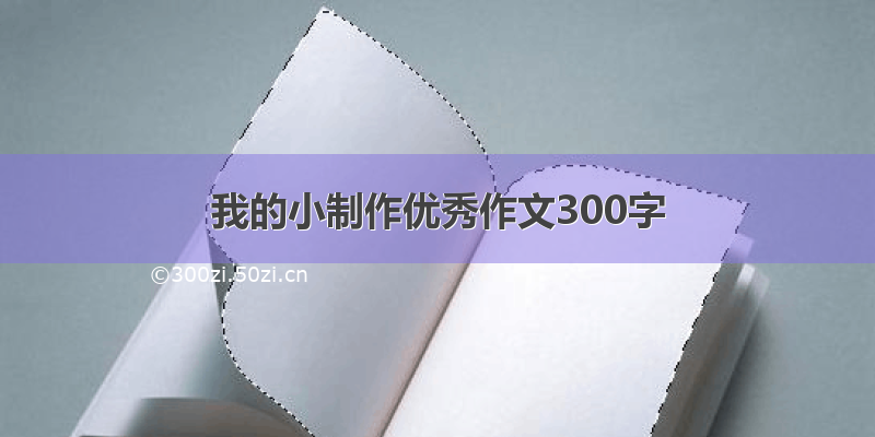 我的小制作优秀作文300字