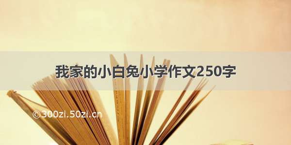 我家的小白兔小学作文250字