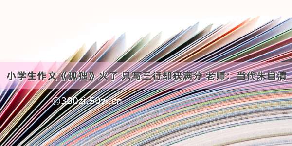 小学生作文《孤独》火了 只写三行却获满分 老师：当代朱自清