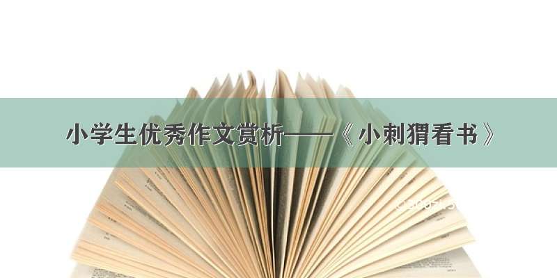 小学生优秀作文赏析——《小刺猬看书》