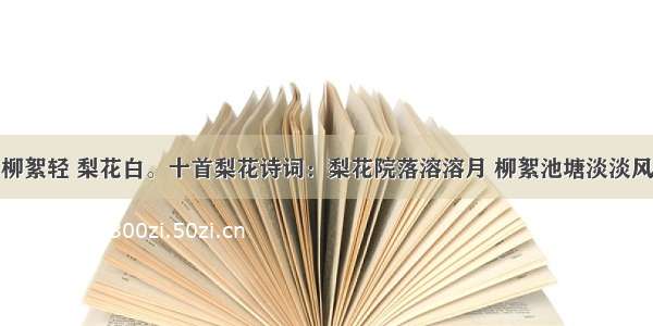 柳絮轻 梨花白。十首梨花诗词：梨花院落溶溶月 柳絮池塘淡淡风