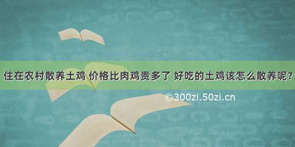 住在农村散养土鸡 价格比肉鸡贵多了 好吃的土鸡该怎么散养呢？