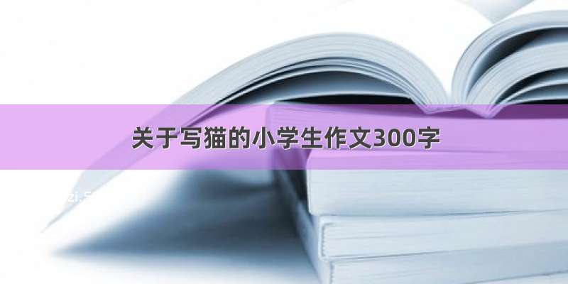 关于写猫的小学生作文300字