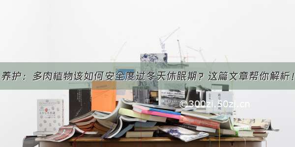 养护：多肉植物该如何安全度过冬天休眠期？这篇文章帮你解析！