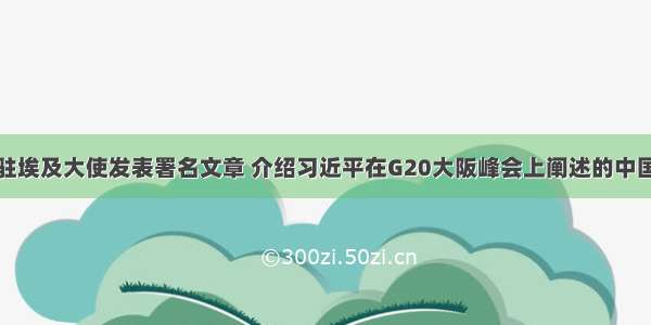 中国驻埃及大使发表署名文章 介绍习近平在G20大阪峰会上阐述的中国主张