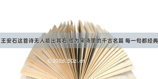 王安石这首诗无人能出其右 成为宋诗里的千古名篇 每一句都经典