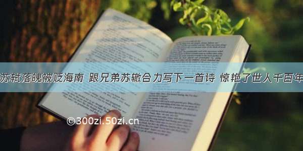 苏轼落魄被贬海南 跟兄弟苏辙合力写下一首诗 惊艳了世人千百年