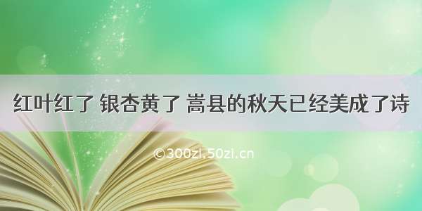 红叶红了 银杏黄了 嵩县的秋天已经美成了诗