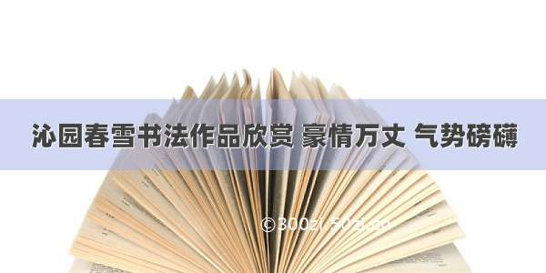 沁园春雪书法作品欣赏 豪情万丈 气势磅礴