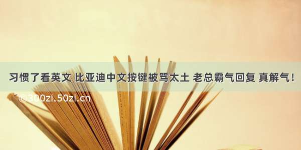 习惯了看英文 比亚迪中文按键被骂太土 老总霸气回复 真解气！