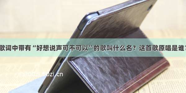 歌词中带有“好想说声可不可以”的歌叫什么名？这首歌原唱是谁？