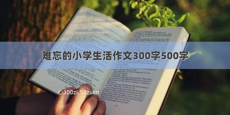 难忘的小学生活作文300字500字