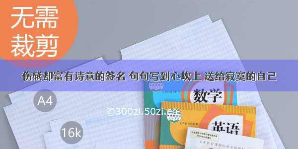 伤感却富有诗意的签名 句句写到心坎上 送给寂寞的自己