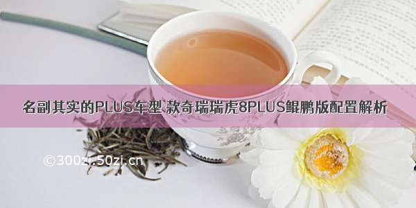 名副其实的PLUS车型 款奇瑞瑞虎8PLUS鲲鹏版配置解析