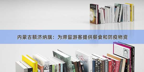 内蒙古额济纳旗：为滞留游客提供餐食和防疫物资