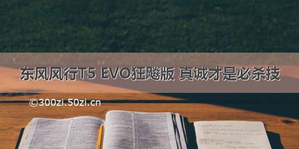 东风风行T5 EVO狂飚版 真诚才是必杀技