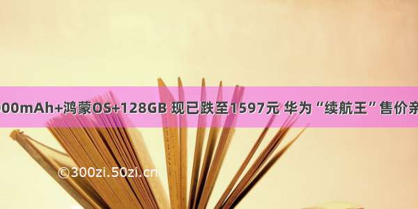 7000mAh+鸿蒙OS+128GB 现已跌至1597元 华为“续航王”售价亲民