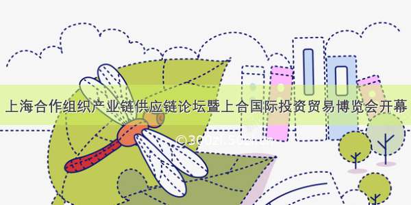 上海合作组织产业链供应链论坛暨上合国际投资贸易博览会开幕