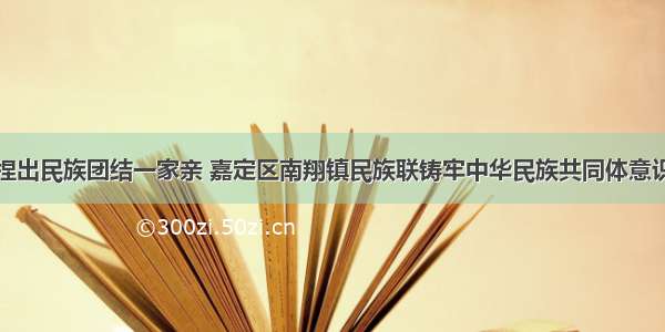 一褶一褶捏出民族团结一家亲 嘉定区南翔镇民族联铸牢中华民族共同体意识工作小记