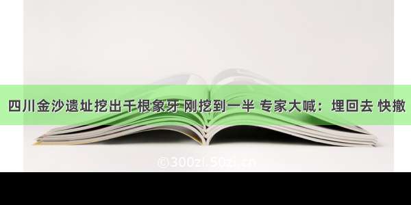 四川金沙遗址挖出千根象牙 刚挖到一半 专家大喊：埋回去 快撤