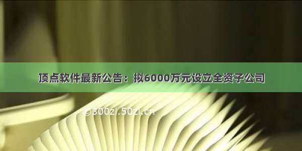 顶点软件最新公告：拟6000万元设立全资子公司