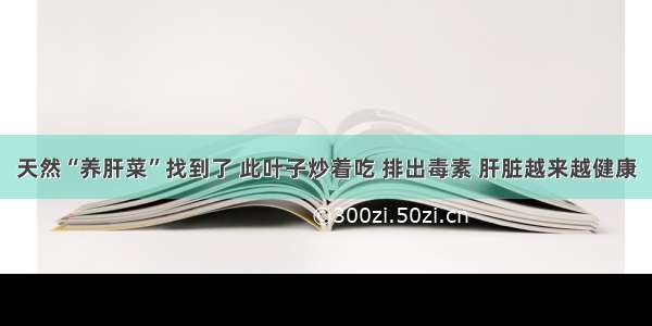 天然“养肝菜”找到了 此叶子炒着吃 排出毒素 肝脏越来越健康