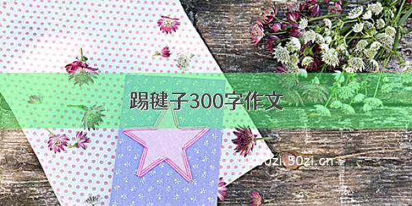 踢毽子300字作文