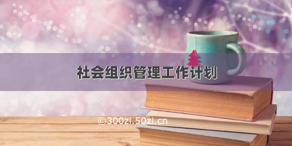 社会组织管理工作计划