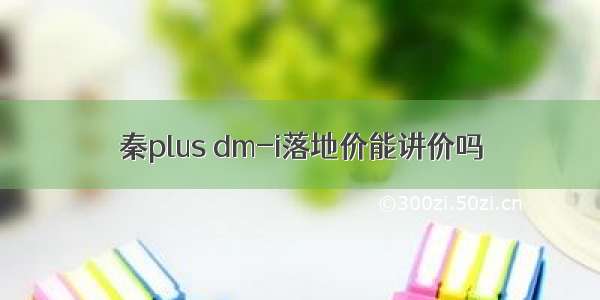 秦plus dm-i落地价能讲价吗