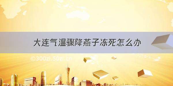 大连气温骤降燕子冻死怎么办