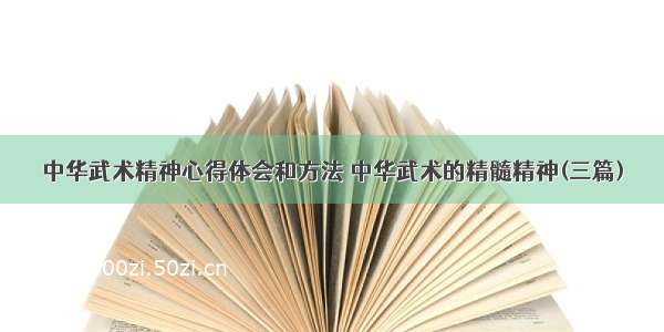 中华武术精神心得体会和方法 中华武术的精髓精神(三篇)