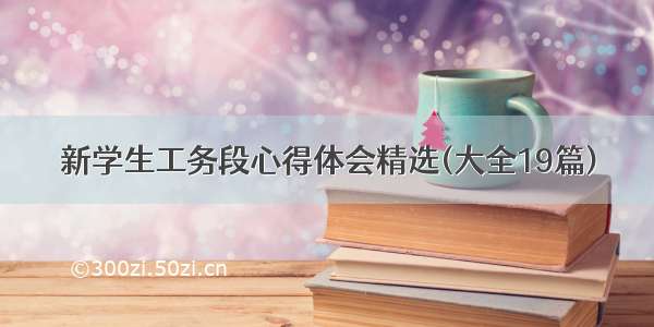 新学生工务段心得体会精选(大全19篇)