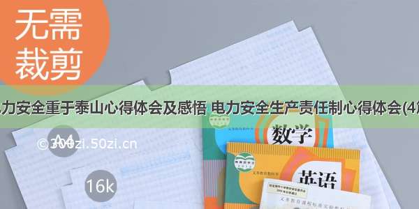 电力安全重于泰山心得体会及感悟 电力安全生产责任制心得体会(4篇)