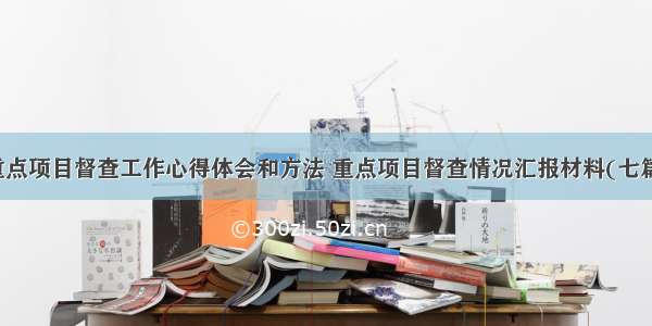 重点项目督查工作心得体会和方法 重点项目督查情况汇报材料(七篇)