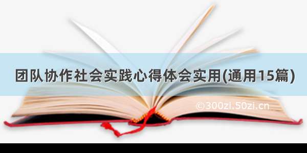 团队协作社会实践心得体会实用(通用15篇)