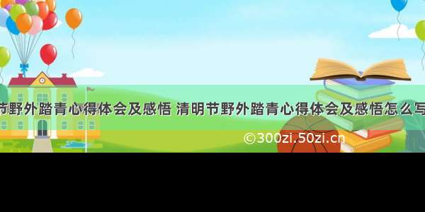 清明节野外踏青心得体会及感悟 清明节野外踏青心得体会及感悟怎么写(4篇)