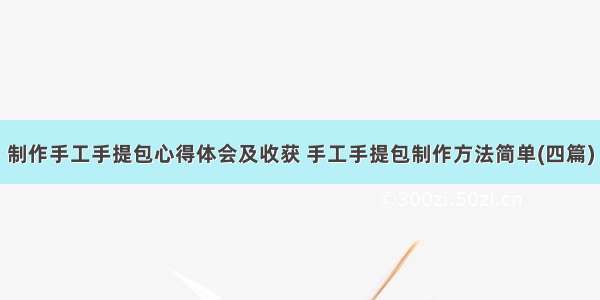 制作手工手提包心得体会及收获 手工手提包制作方法简单(四篇)