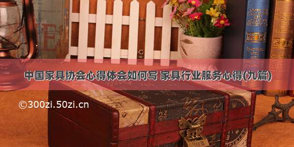 中国家具协会心得体会如何写 家具行业服务心得(九篇)
