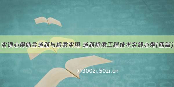 实训心得体会道路与桥梁实用 道路桥梁工程技术实践心得(四篇)