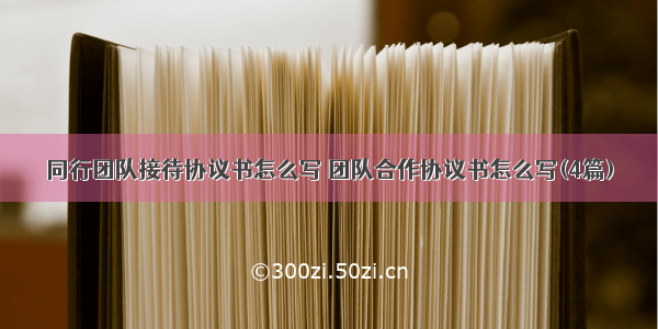 同行团队接待协议书怎么写 团队合作协议书怎么写(4篇)